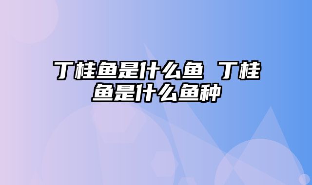 丁桂鱼是什么鱼 丁桂鱼是什么鱼种