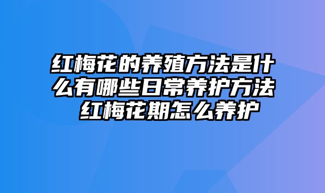 红梅花的养殖方法是什么有哪些日常养护方法 红梅花期怎么养护