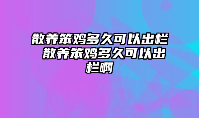 散养笨鸡多久可以出栏 散养笨鸡多久可以出栏啊