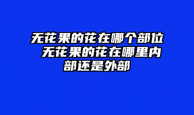 无花果的花在哪个部位 无花果的花在哪里内部还是外部