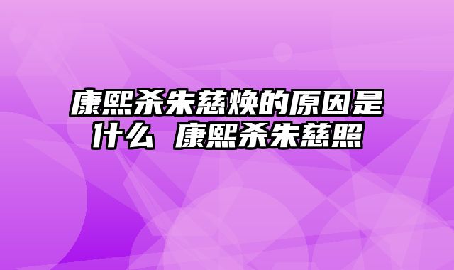 康熙杀朱慈焕的原因是什么 康熙杀朱慈照