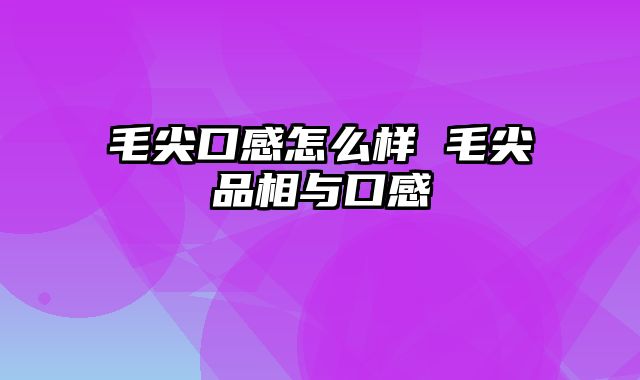 毛尖口感怎么样 毛尖品相与口感