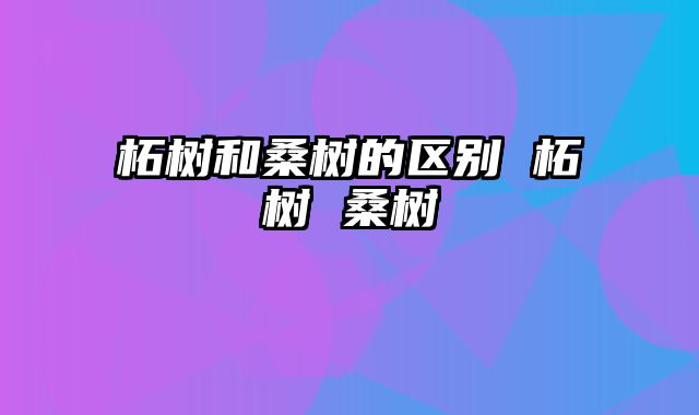 柘树和桑树的区别 柘树 桑树