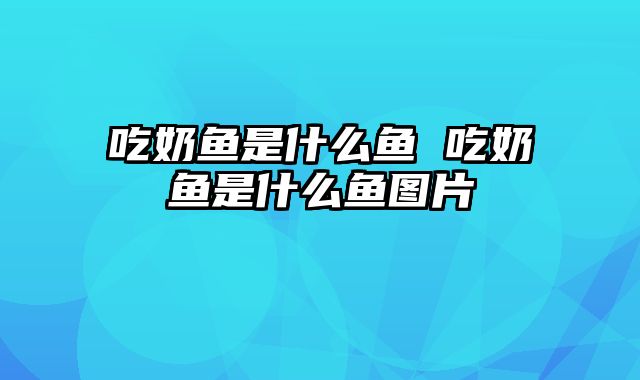 吃奶鱼是什么鱼 吃奶鱼是什么鱼图片