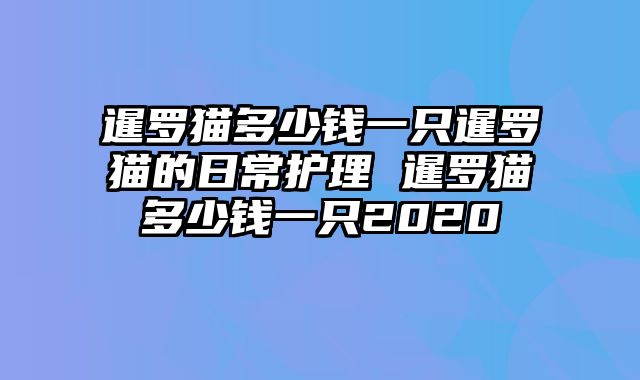 暹罗猫多少钱一只暹罗猫的日常护理 暹罗猫多少钱一只2020