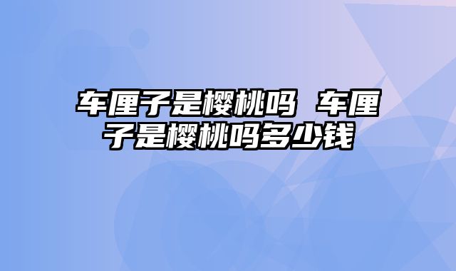 车厘子是樱桃吗 车厘子是樱桃吗多少钱