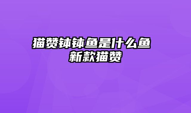 猫赞钵钵鱼是什么鱼 新款猫赞