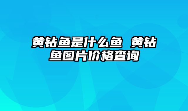 黄钻鱼是什么鱼 黄钻鱼图片价格查询