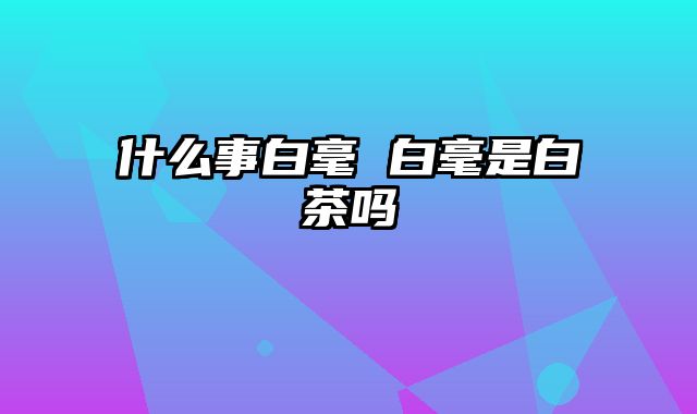 什么事白毫 白毫是白茶吗