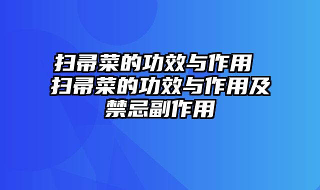 扫帚菜的功效与作用 扫帚菜的功效与作用及禁忌副作用