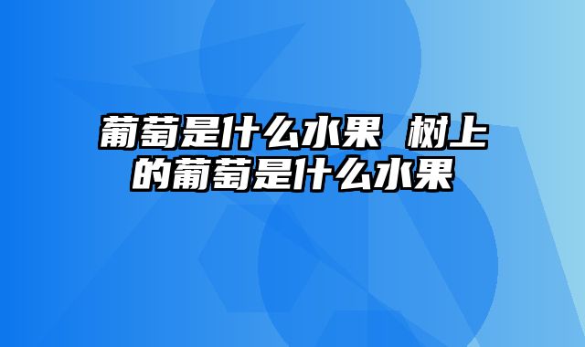 葡萄是什么水果 树上的葡萄是什么水果