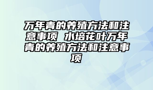 万年青的养殖方法和注意事项 水培花叶万年青的养殖方法和注意事项