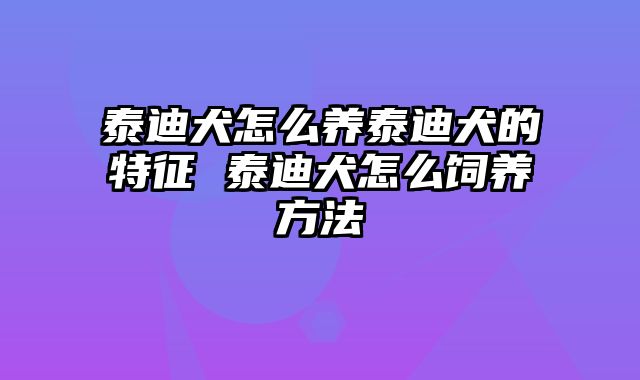 泰迪犬怎么养泰迪犬的特征 泰迪犬怎么饲养方法