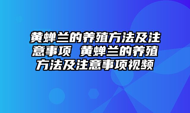 黄蝉兰的养殖方法及注意事项 黄蝉兰的养殖方法及注意事项视频