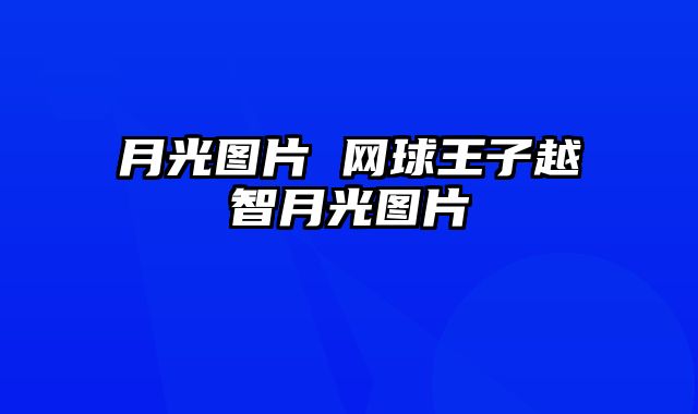 月光图片 网球王子越智月光图片