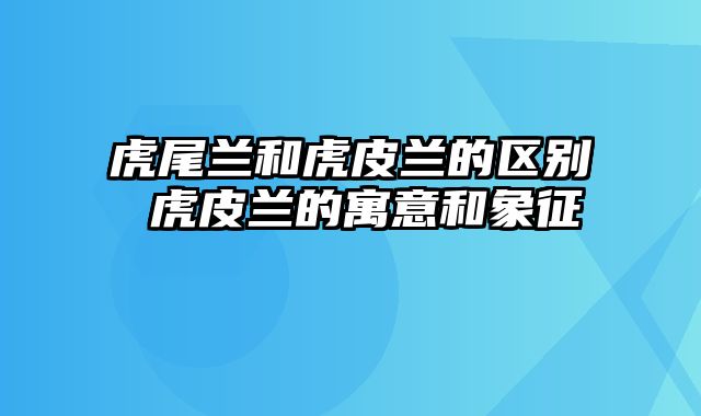 虎尾兰和虎皮兰的区别 虎皮兰的寓意和象征