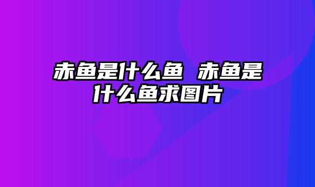 赤鱼是什么鱼 赤鱼是什么鱼求图片