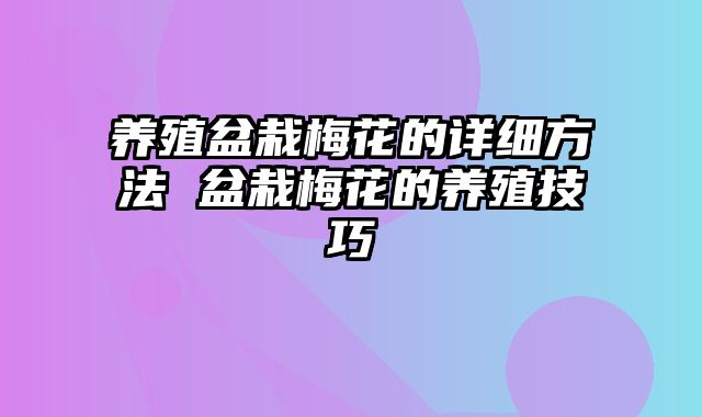 养殖盆栽梅花的详细方法 盆栽梅花的养殖技巧