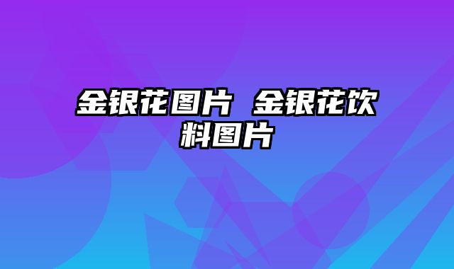 金银花图片 金银花饮料图片