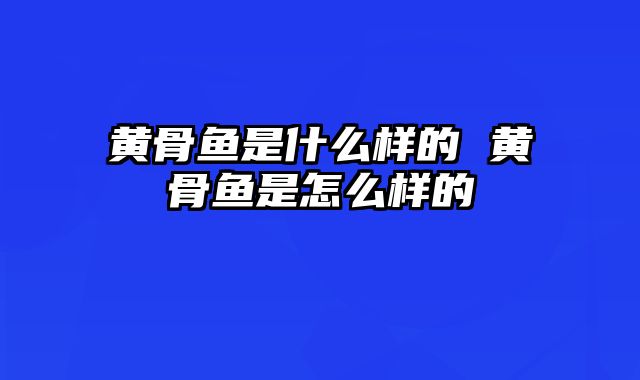 黄骨鱼是什么样的 黄骨鱼是怎么样的