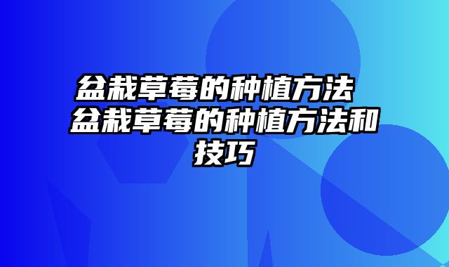 盆栽草莓的种植方法 盆栽草莓的种植方法和技巧