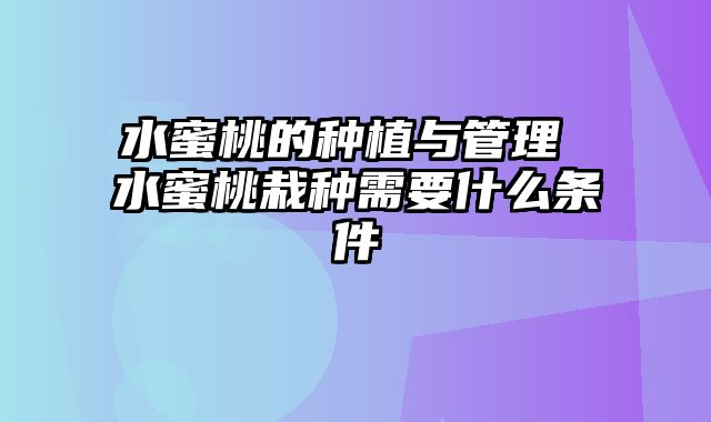 水蜜桃的种植与管理 水蜜桃栽种需要什么条件