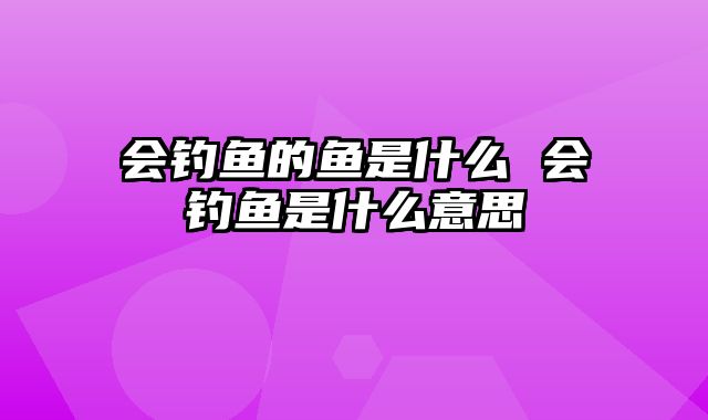 会钓鱼的鱼是什么 会钓鱼是什么意思