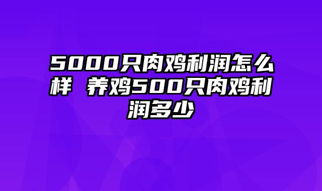 5000只肉鸡利润怎么样 养鸡500只肉鸡利润多少