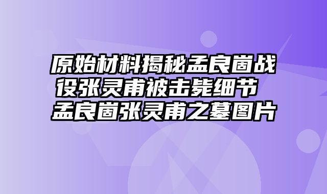 原始材料揭秘孟良崮战役张灵甫被击毙细节 孟良崮张灵甫之墓图片