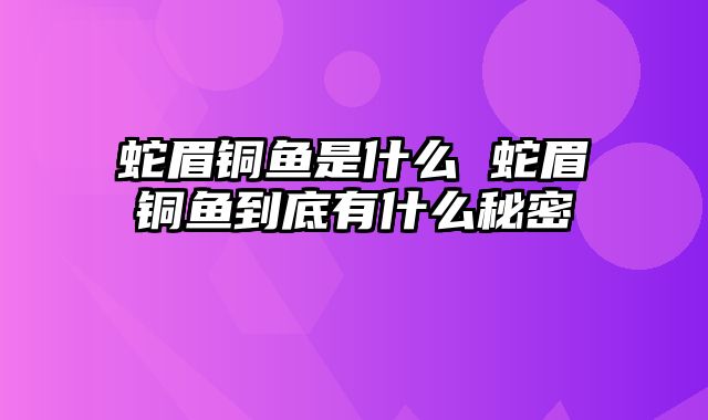 蛇眉铜鱼是什么 蛇眉铜鱼到底有什么秘密