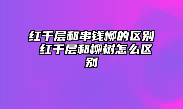 红千层和串钱柳的区别 红千层和柳树怎么区别