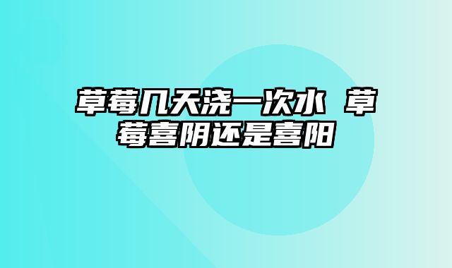 草莓几天浇一次水 草莓喜阴还是喜阳