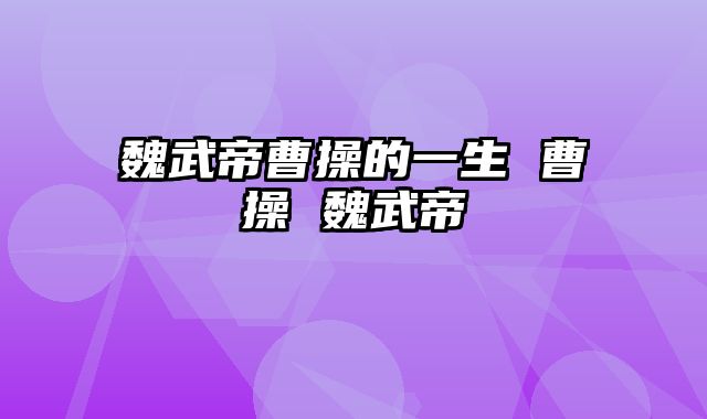 魏武帝曹操的一生 曹操 魏武帝