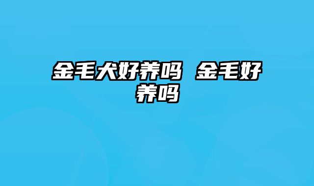 金毛犬好养吗 金毛好养吗