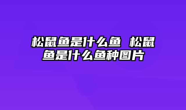 松鼠鱼是什么鱼 松鼠鱼是什么鱼种图片