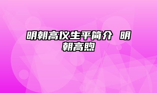 明朝高仪生平简介 明朝高煦