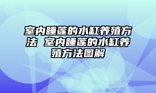 室内睡莲的水缸养殖方法 室内睡莲的水缸养殖方法图解