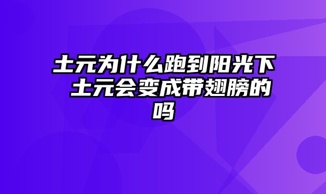 土元为什么跑到阳光下 土元会变成带翅膀的吗