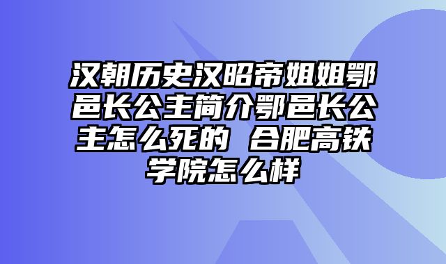 汉朝历史汉昭帝姐姐鄂邑长公主简介鄂邑长公主怎么死的 合肥高铁学院怎么样