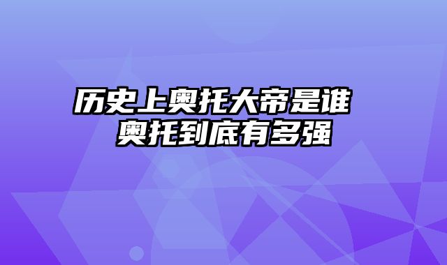 历史上奥托大帝是谁 奥托到底有多强