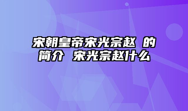 宋朝皇帝宋光宗赵惇的简介 宋光宗赵什么