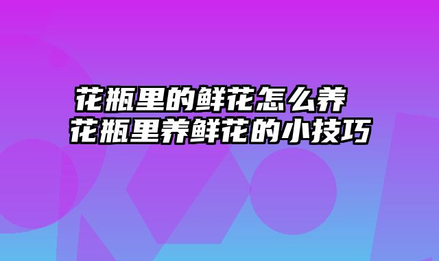 花瓶里的鲜花怎么养 花瓶里养鲜花的小技巧