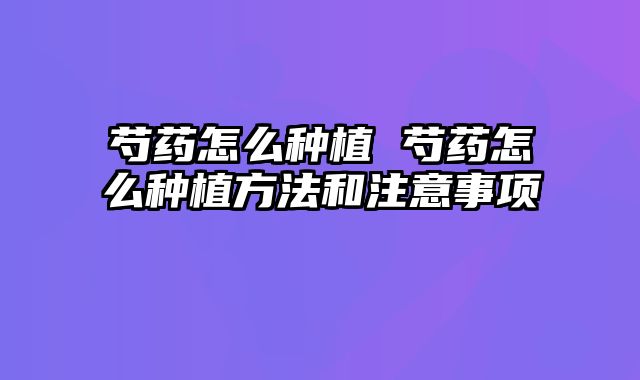 芍药怎么种植 芍药怎么种植方法和注意事项