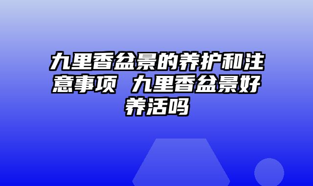 九里香盆景的养护和注意事项 九里香盆景好养活吗