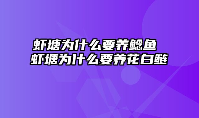 虾塘为什么要养鲶鱼 虾塘为什么要养花白鲢