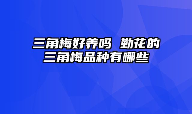 三角梅好养吗 勤花的三角梅品种有哪些