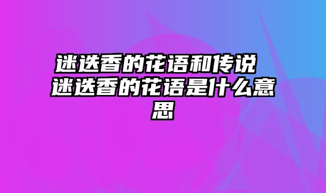 迷迭香的花语和传说 迷迭香的花语是什么意思