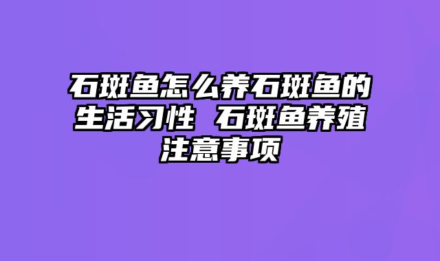 石斑鱼怎么养石斑鱼的生活习性 石斑鱼养殖注意事项