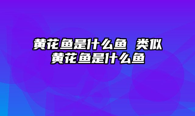 黄花鱼是什么鱼 类似黄花鱼是什么鱼