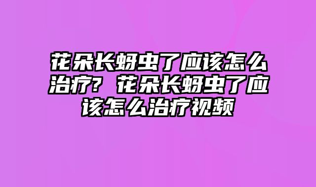 花朵长蚜虫了应该怎么治疗? 花朵长蚜虫了应该怎么治疗视频